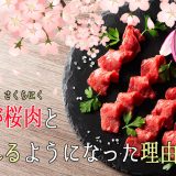 馬肉が桜肉と呼ばれる理由