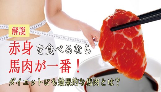 赤身肉を食べるなら馬刺しにしても美味しい馬肉が一番！ダイエットにも効果的な馬肉とは？解説します