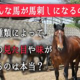 どんな馬が馬刺しになるの？馬の種類によって馬肉の見た目や味が変わるのは本当？