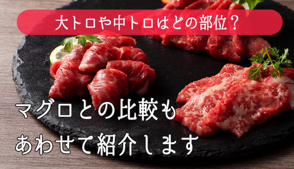 希少な馬刺しの大トロや中トロはどの部位 マグロとの比較もあわせて紹介します 馬肉総論