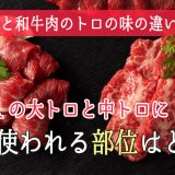 馬肉と和牛肉のトロの味の違いは?馬刺しの大トロと中トロに使われる部位はどこ?