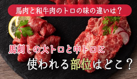 馬肉と和牛肉のトロの味の違いは?馬刺しの大トロと中トロに使われる部位はどこ?