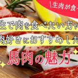 生肉が食べたい！生で肉を食べたい方やお肉好きにおすすめしたい馬肉の魅力とは