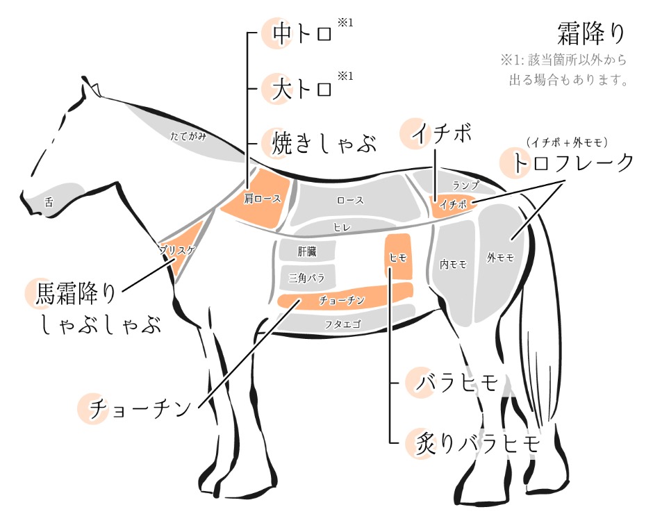希少な馬刺しの大トロや中トロはどの部位 マグロとの比較もあわせて紹介します 馬肉総論