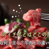 馬刺しのイチボとはどこの部位？英語では何と言う？牛肉との違いとは？