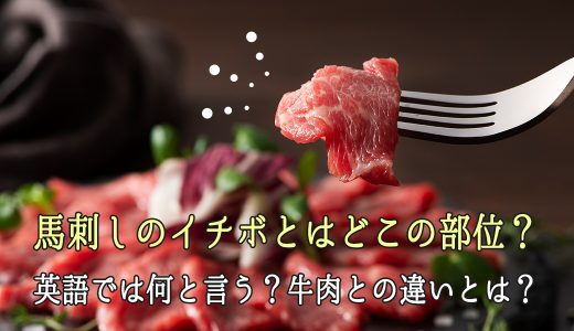 馬刺しのイチボとはどこの部位？英語では何と言う？牛肉との違いとは？